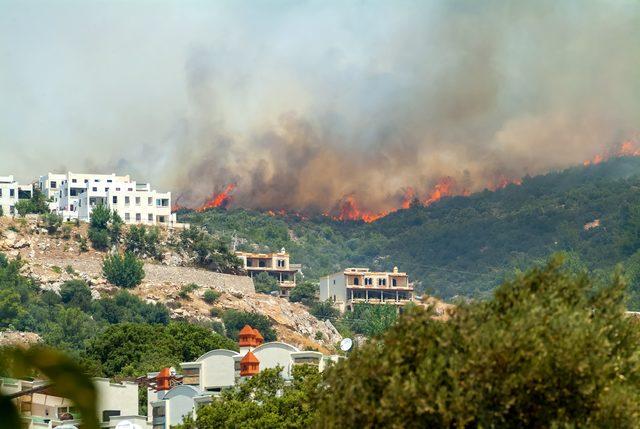 2021'de Bodrum'da meydana gelen orman yangını
