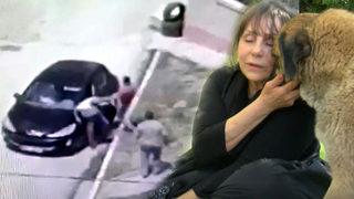 Tiyatro sanatçısı, sokak köpeklerini beslerken saldırıya uğradı! Görüntüler ortaya çıktı