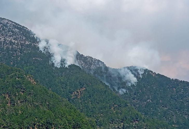 Antalya'nın Alanya ilçesinde orman yangını! Alevler kısmen kontrol altında
