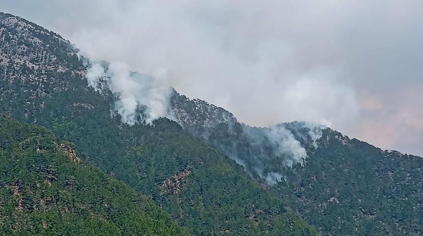 Antalya'nın Alanya ilçesinde orman yangını! Alevler kısmen kontrol altında