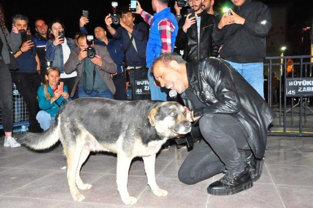 haluk-levent-sokak-kopegiyle-yere-uzanarak-seslendirdigi-sarkilarla-hayranlarinicosturdu_4496_dhaphoto8