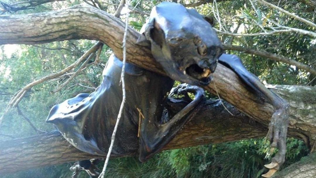 Vahşi doğadan korkun&ccedil; fotoğraflar