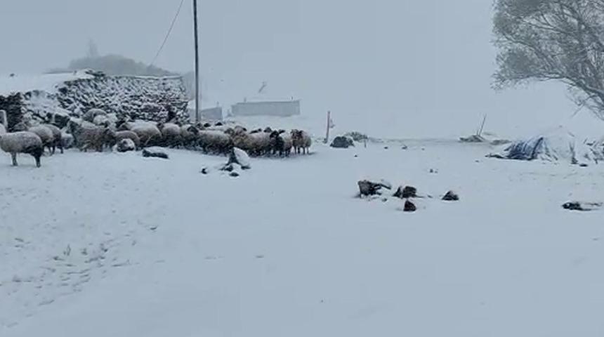 Kış geri geldi! Kar kalınlığı 5 santimetreye ulaştı, vatandaşlar şaşkın...