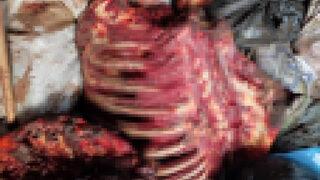 İzmir'de akıllara durgunluk veren görüntü! 3 bin 600 kilo at eti, çürümek üzereyken geçirildi