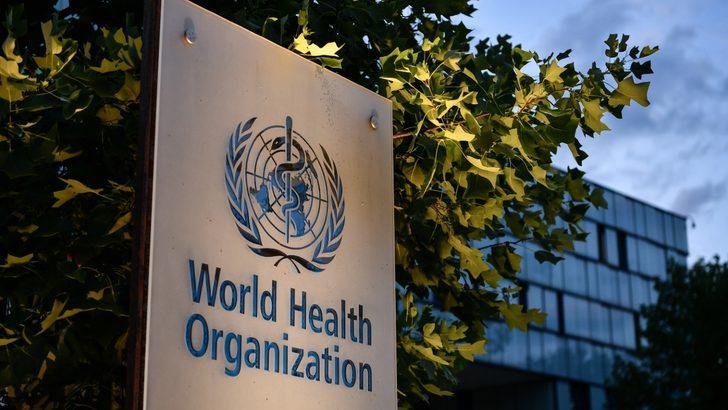 Maymun çiçeği vakası dünyada kaç kişide görüldü? Maymun çiçeği hangi ülkelerde görüldü? DSÖ açıkladı! G4