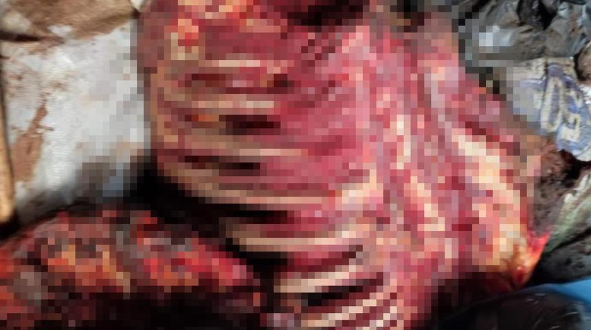 İzmirlilere at eti yedireceklerdi! Yaşlı ve hasta etleri parçalayıp poşetlere koymuşlar