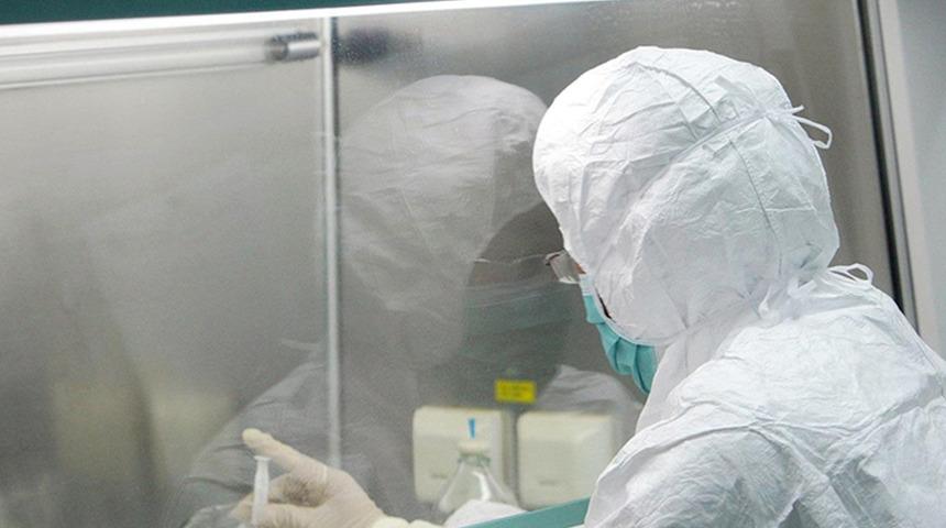 Maymun &ccedil;i&ccedil;eği vir&uuml;s&uuml; durdurulamıyor! Bir &uuml;lkede daha ortaya &ccedil;ıktı