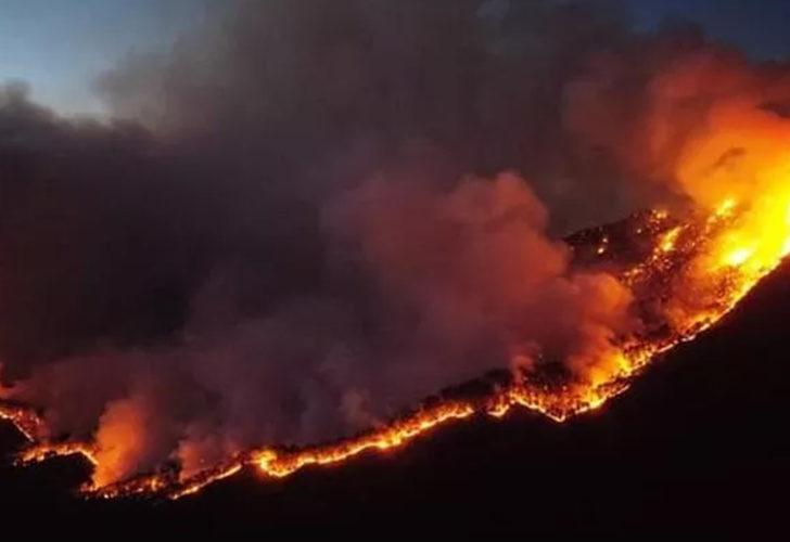 Meksika'da korkutan orman yangını! Havadan kül yağıyor