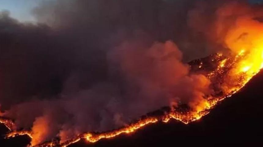 Meksika'da korkutan orman yangını! Havadan kül yağıyor