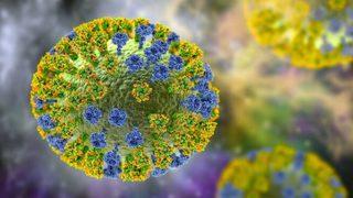 Dünyanın gündemine oturdu! İşte 10 soruda maymun çiçeği hastalığı