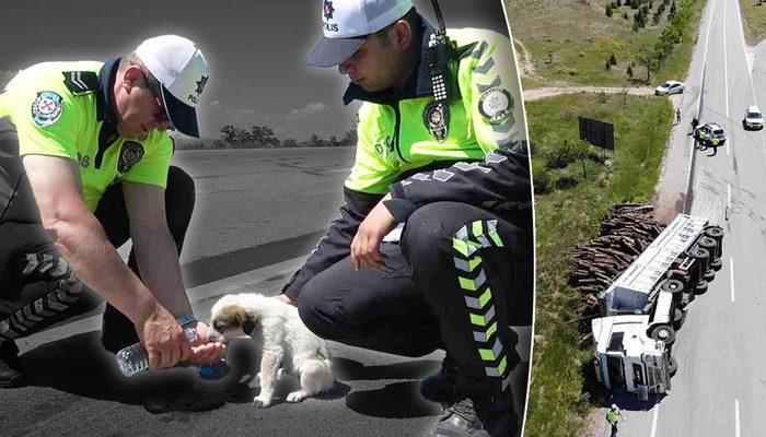 Kendi canını boş verdi, köpeğinin kurtarılmasını istedi! Kaza sonrası TIR sürücüsünden duygulandıran sözler