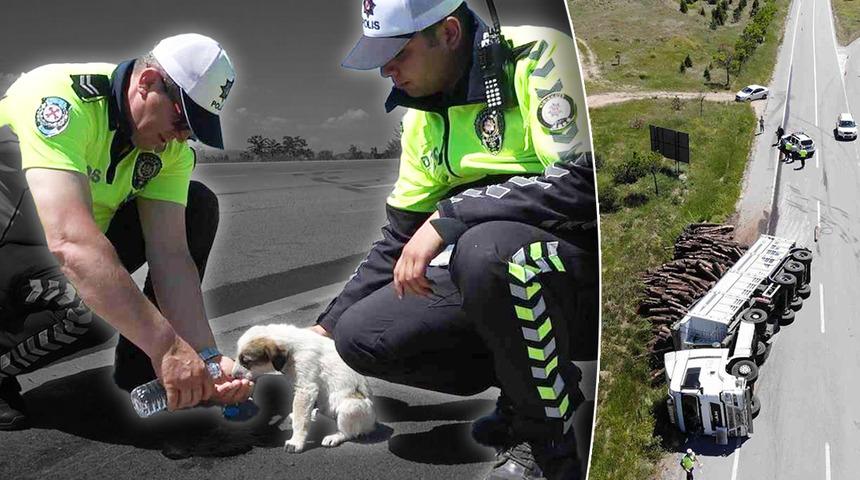 Kendi canını boş verdi, köpeğinin kurtarılmasını istedi! Kaza sonrası TIR sürücüsünden duygulandıran sözler