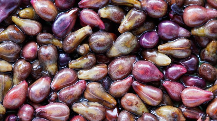 Kansere karşı koruyor! İşte üzüm çekirdeğinin mucizevi 7 faydası