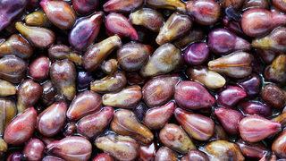 Kansere karşı koruyor! İşte üzüm çekirdeğinin mucizevi 7 faydası