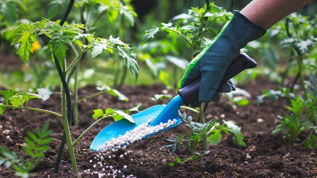 Tarımsal girdilerde yeni rekor! Gübredeki artışa dikkat çekildi...