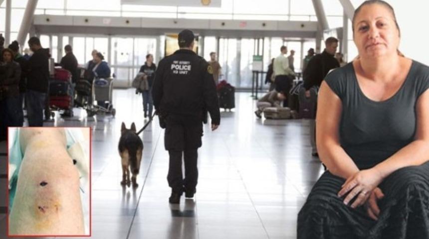 JFK Havalimanı'nda T&uuml;rk yolcuya polis k&ouml;peği saldırdı