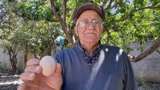 Yumurtalardan birinin farklı olduğunu gördü, ortalığı ayağa kaldırdı: Korktum kaçtım, oğlumu çağırdım