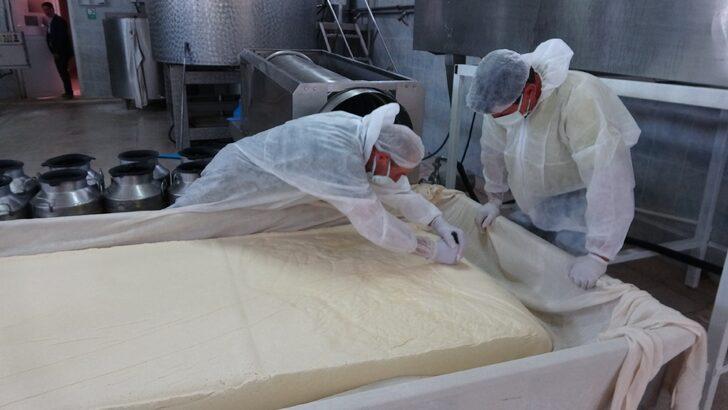 50 tondan 30 milyon liralık katkı! Kaşar peynirinin yapımını okurken bile yorulacaksınız G2