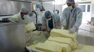 50 tondan 30 milyon liralık katkı! Kaşar peynirinin yapımını okurken bile yorulacaksınız