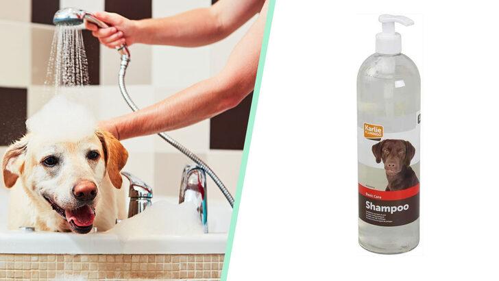 Patili dostlarınızın sağlıklı ve temiz kalmaları için en iyi köpek şampuanı markaları