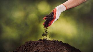 Öldüğü zannedilen bir bebek diri diri gömüldü! Toprağın altında ağlamaya başlayınca ailesi şaşkına döndü