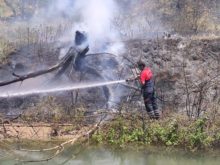 Nusaybin'de ağaçlık alanda çıkan yangın büyümeden söndürüldü G1
