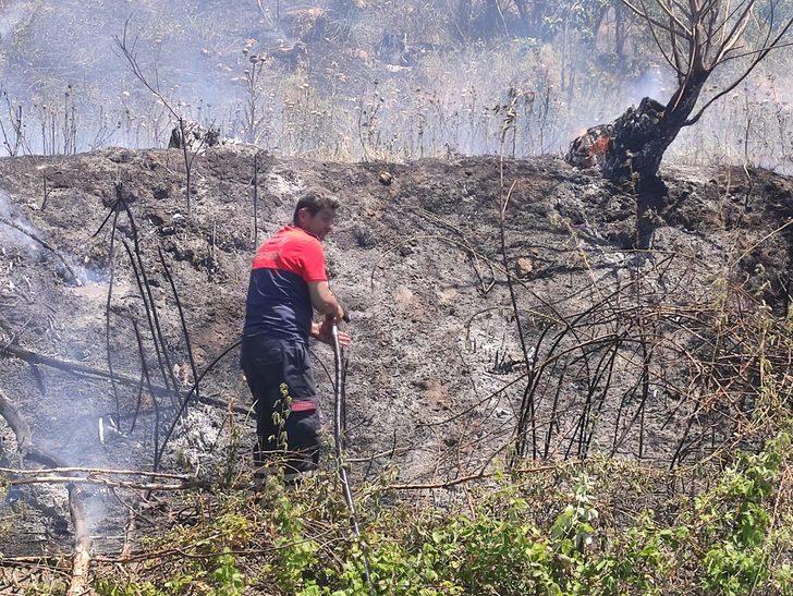 Nusaybin'de ağaçlık alanda çıkan yangın büyümeden söndürüldü G3