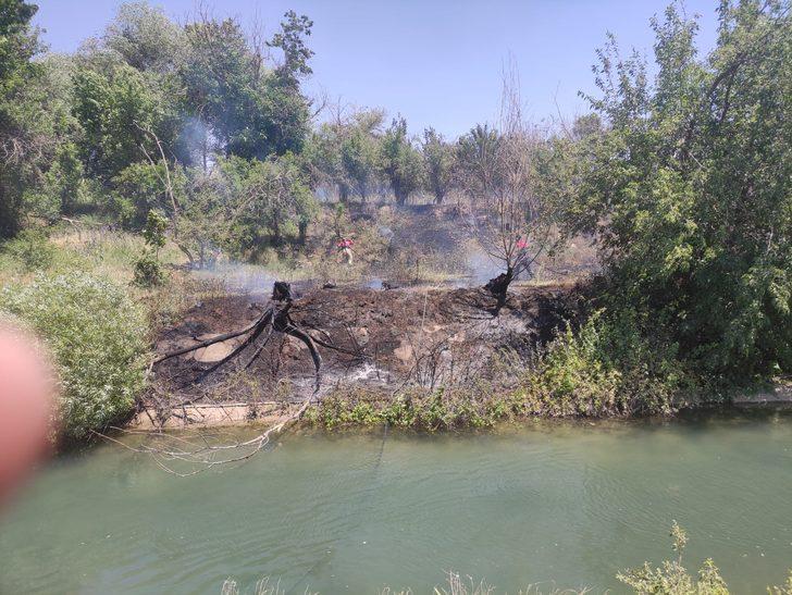 Nusaybin'de ağaçlık alanda çıkan yangın büyümeden söndürüldü G5