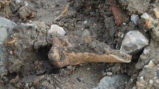 Kaldırım kazısında insan kemikleri ortaya çıktı