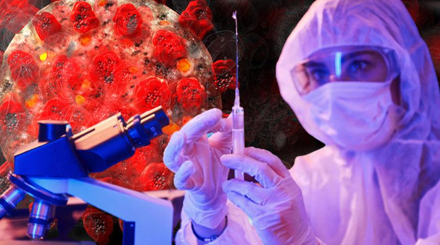 Maymun çiçeği virüsü hızla yayılıyor! İspanya'da vaka sayıları arttı, Almanya karantina istedi