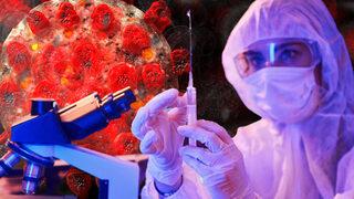 Maymun çiçeği virüsü hızla yayılıyor! İspanya'da vaka sayıları arttı, Almanya karantina istedi