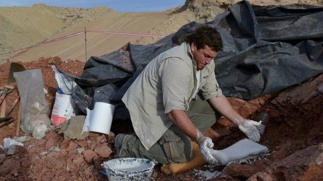 Paleontologlardan oluşan bir ekip, 2012 yılında Arjantin'de bulunan And Dağları'ndaki kalıntıları keşfetti.