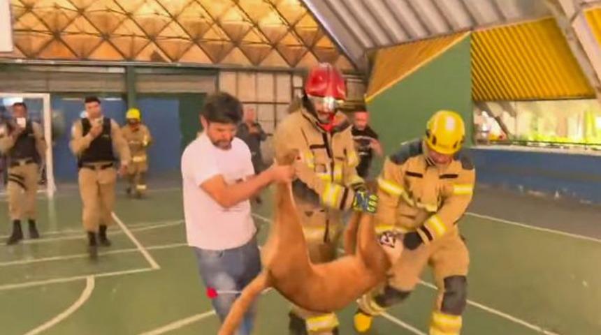 İkokul tuvaletinde dehşet! Kapıyı açtığında göz göze gelince ne yapacağını şaşırdı