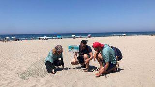 Antalya'da caretta caretta yasağı! Sahile girmenin cezası 109 bin TL, jandarma nöbet tutuyor