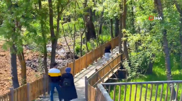 Dünyanın en büyük ikinci longozu Acarlar Longozu, turist akınına uğradı! “Saklı cennet” G1