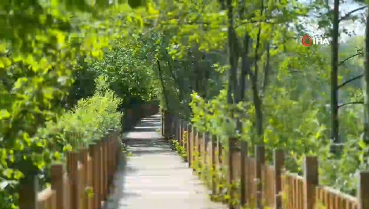 Dünyanın en büyük ikinci longozu Acarlar Longozu, turist akınına uğradı! “Saklı cennet” G4