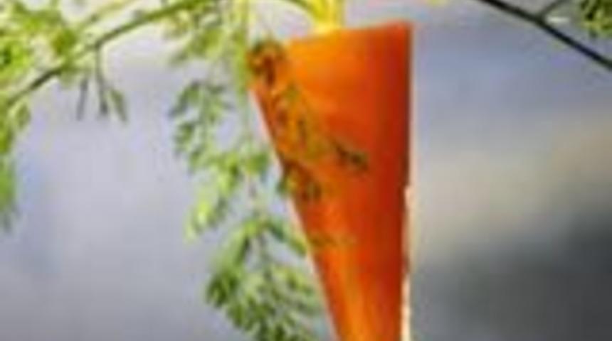 İla&ccedil; Gibi Meyve Suları