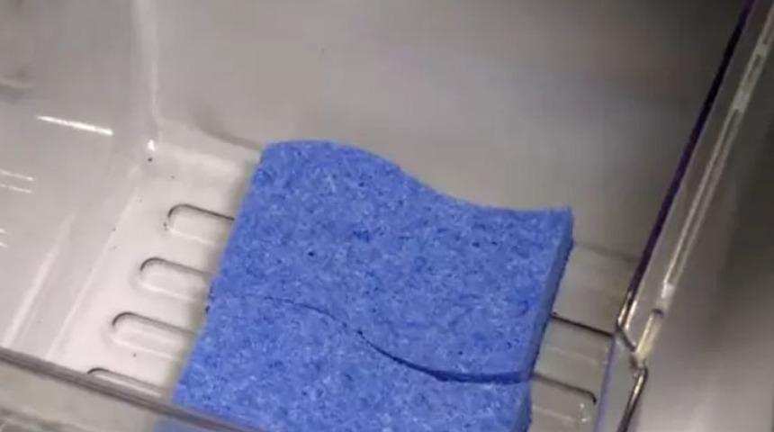 Efsane numara: Buzdolabına s&uuml;nger koyun ve olacakları bekleyin...