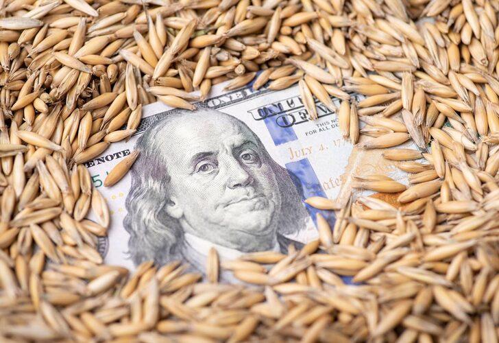 Küresel gıda fiyatları frene bastı: Buğday krizinde sona mı gelindi? Türkiye detayı dikkat çekti