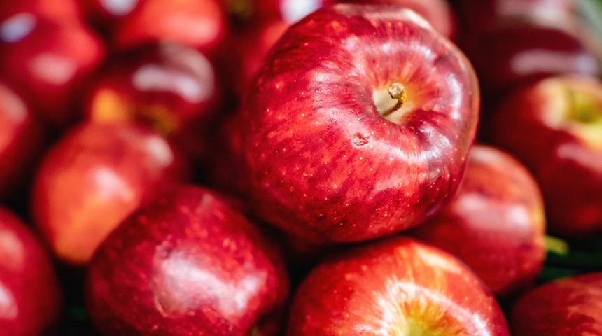 Elma sirkesi zayıflatır mı? Elmanın çekirdeğinde siyanür var mı? Elmanın faydaları nelerdir? Elma sirkesi nedir, faydaları nelerdir? Elma sirkesi nasıl kullanılır?