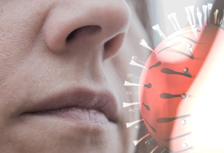 Covid-19 geçirenlerde ortaya çıkmıştı! Koku bozukluğunun sebebi bulundu