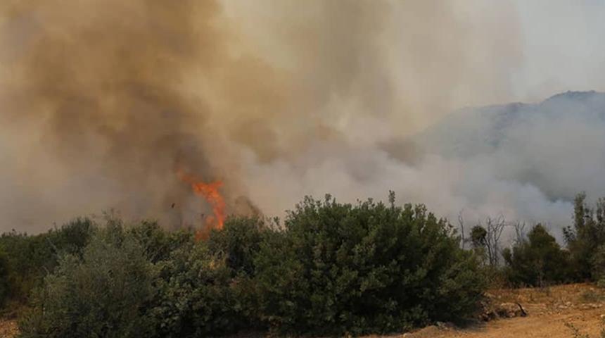 Son dakika: Adana'daki orman yangını kontrol altına alındı