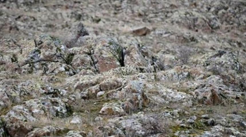 Parolaları "tek atışta imha"