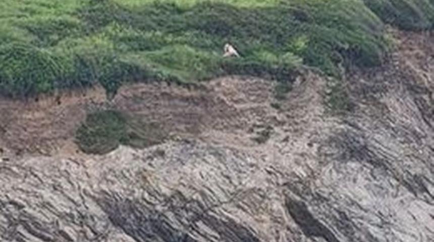 Uçurum kenarında tehlikeli oyun! Çevredekilere aldırmadan cinsel ilişkiye girdiler: Mutlu bir çift keşfettik