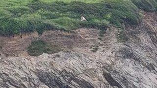 Uçurum kenarında tehlikeli oyun! Çevredekilere aldırmadan cinsel ilişkiye girdiler: Mutlu bir çift keşfettik