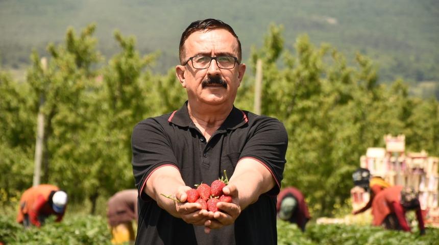 'Kırmızı elmas' olarak biliniyor! Yıllık 400 milyon TL gelir getiriyor