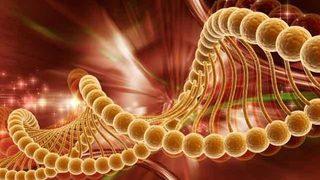 Prof. Dr. Özatlı: Anemi, kanser habercisi olabilir