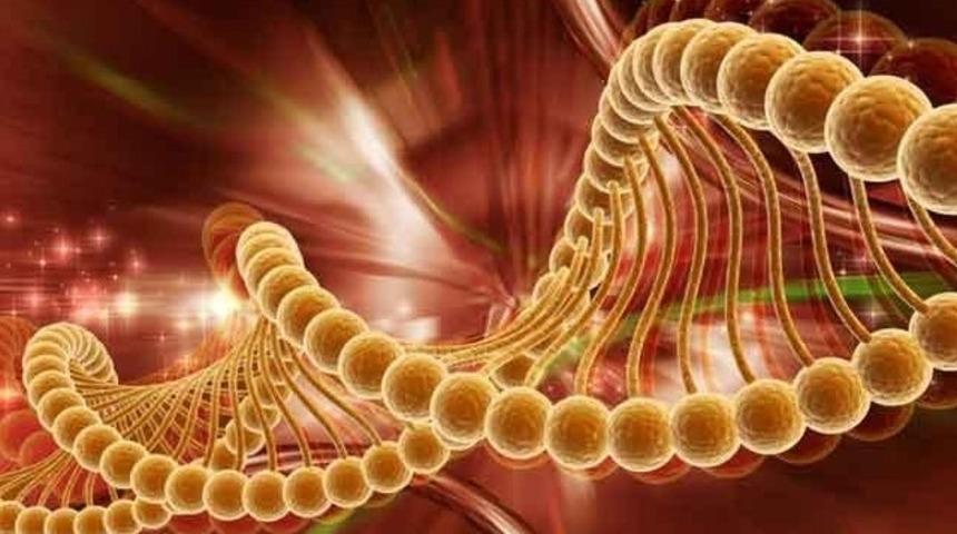 Prof. Dr. Özatlı: Anemi, kanser habercisi olabilir