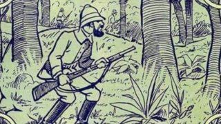 Sosyal medyada gündem oldu! Resimde fili görebiliyor musunuz?