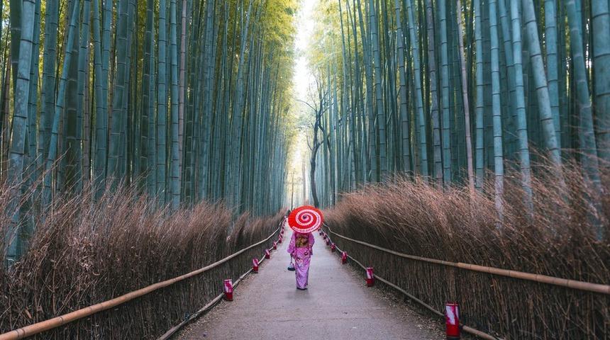 Japonya iki yıl aradan sonra yeniden turistlere kapılarını a&ccedil;ıyor